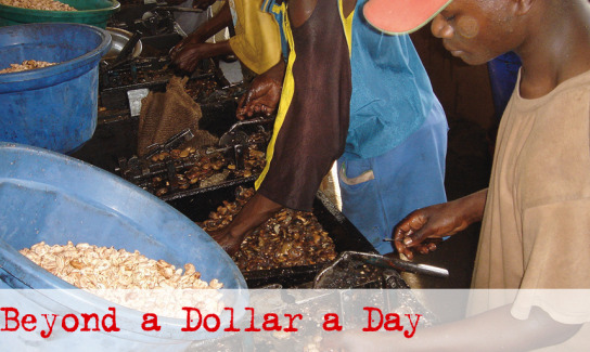 Documentary film: Beyond a dollar a day